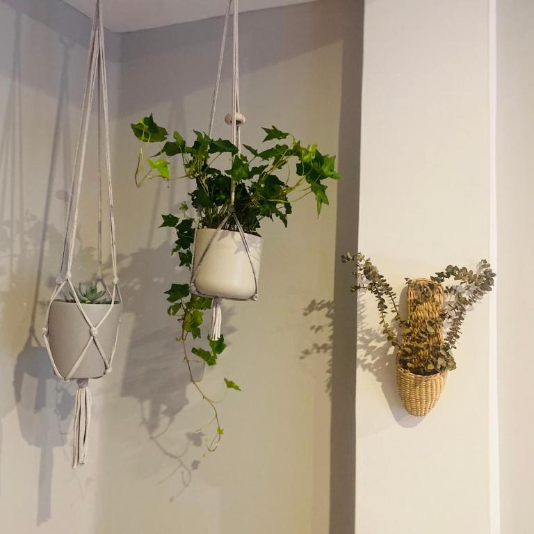 Apartamento A Tixola ,Casco Histórico - Two-Bedroom Apartment - 35