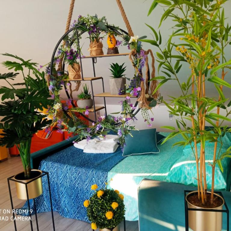 Casa Belvedere - Appartamento Attico - 7