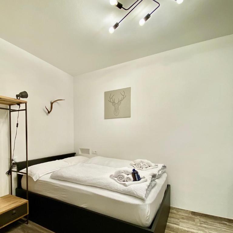 Life Studio & City Bike - Monolocale Standard - 11