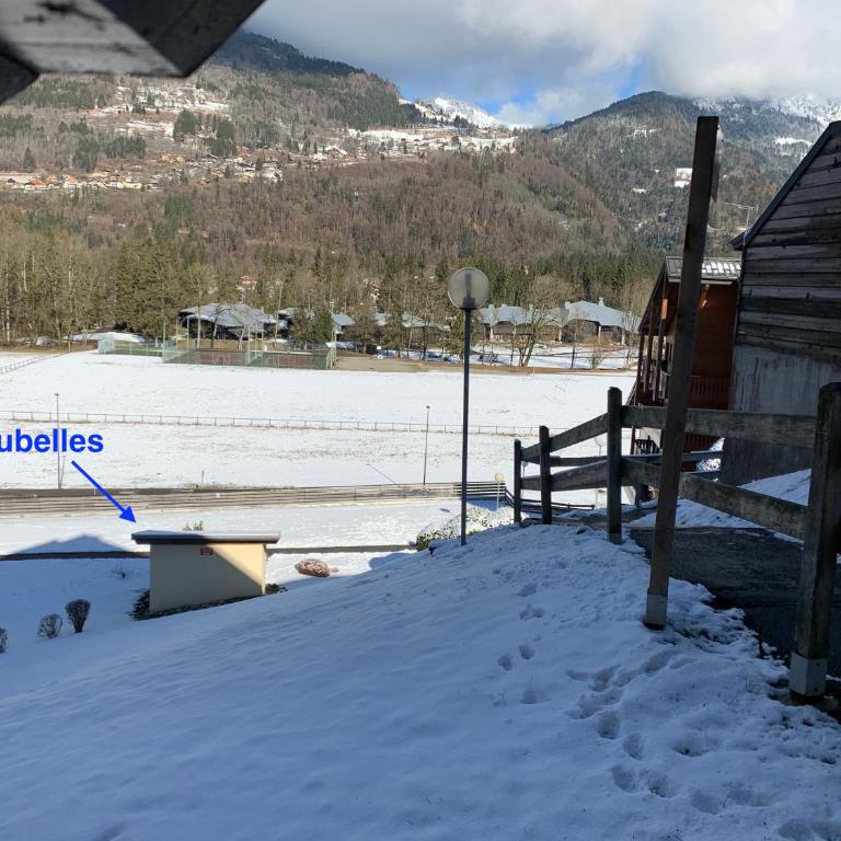 Les Hermines à Morillon - Appartement - Rez-de-Chaussée - 15