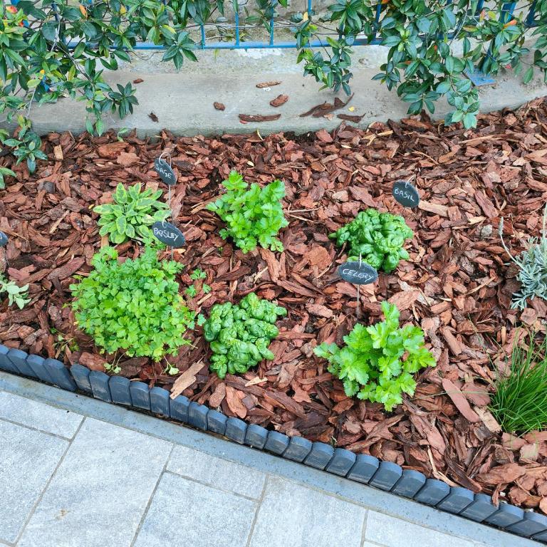 Sorrento Garden Room - Appartamento con 2 Camere da Letto - 27