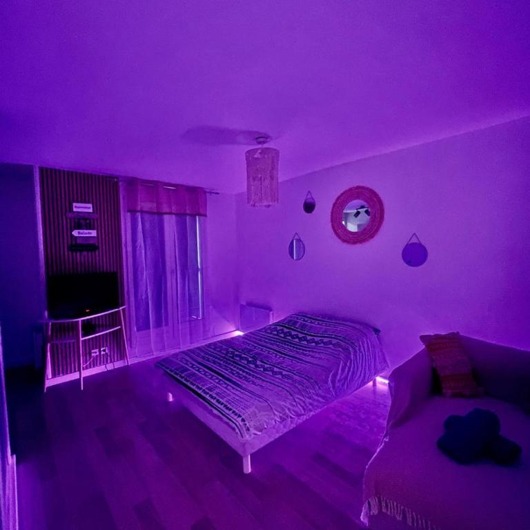 Studio Moana avec parking et jardin - Appartement 1 Chambre - 8