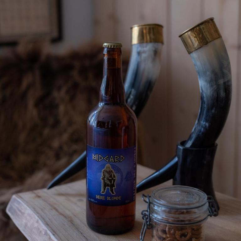 Studio Insolite Viking - Appartement 1 Chambre - 12