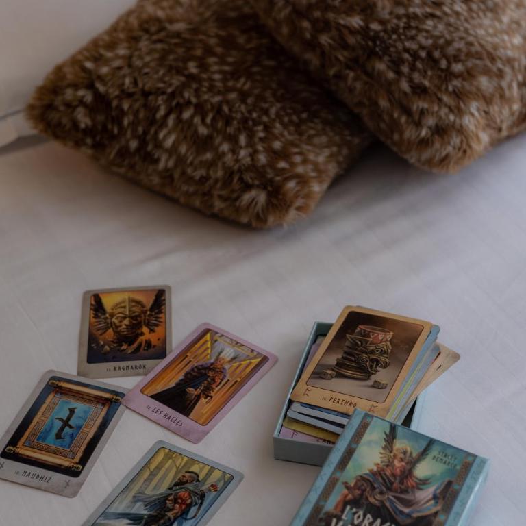 Studio Insolite Viking - Appartement 1 Chambre - 10
