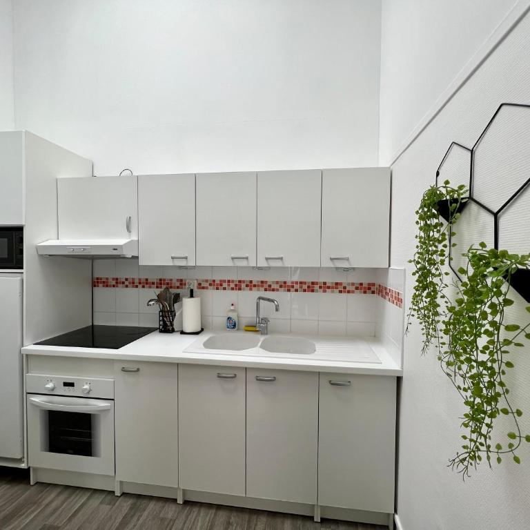 Duplex en plein cœur de Malo-Les-Bains - Appartement 1 Chambre - 28