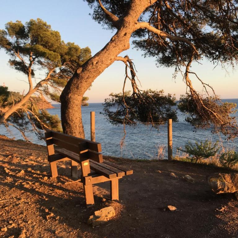 Bas de villa jardin plein sud proche mer clim-Wifi - Maison de Vacances - 14