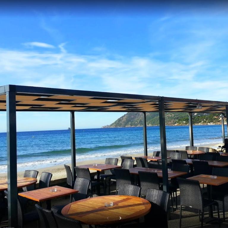 Bas de villa jardin plein sud proche mer clim-Wifi - Maison de Vacances - 21