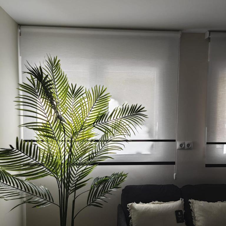 Studio Sevilla Suites Málaga - Estudio - 7