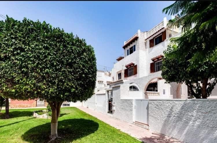 Casa Mascott - Two-Bedroom House - 12