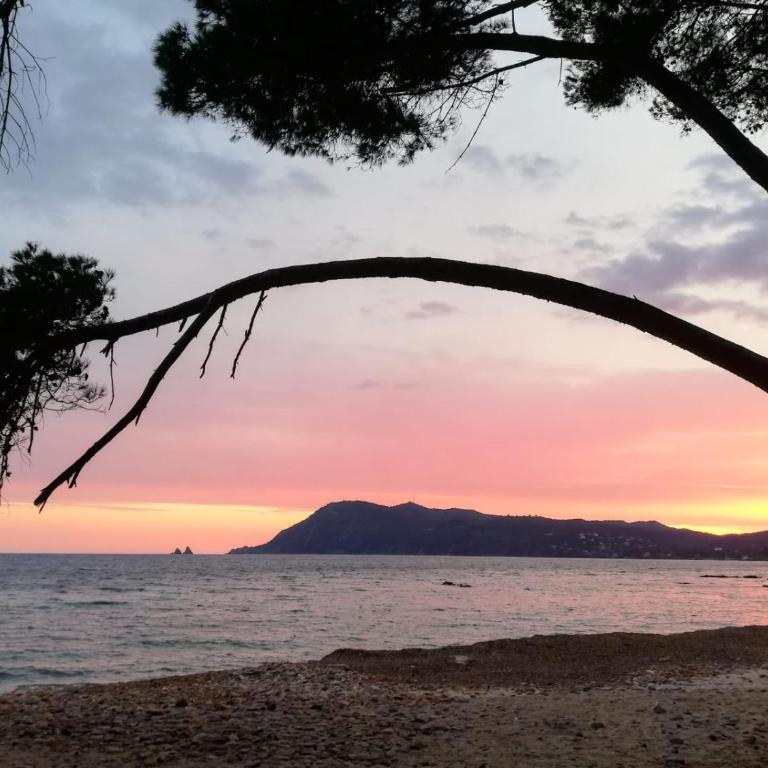 Bas de villa jardin plein sud proche mer clim-Wifi - Maison de Vacances - 18