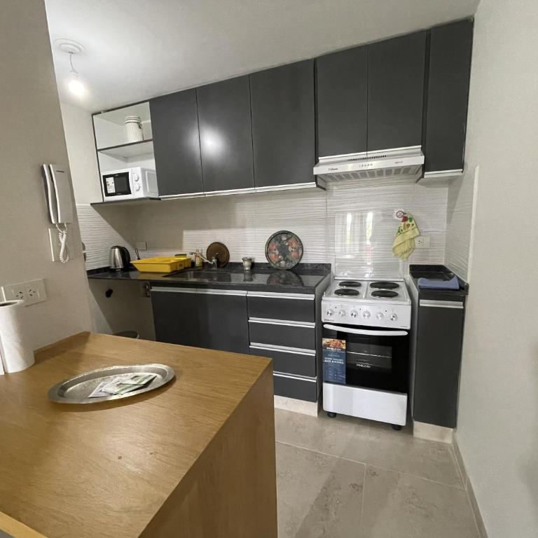 Monoambiente centrico Plaza Belgrano - One-Bedroom Apartment - 2