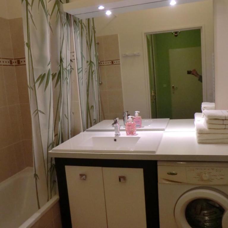 Appartement Serris - Appartement 1 Chambre - 5