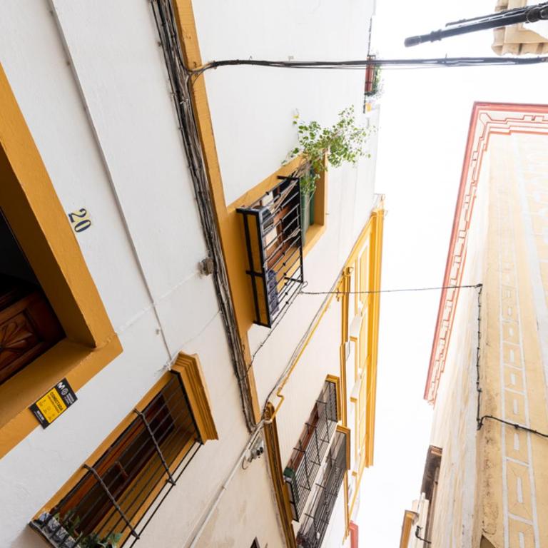 La Casa (Casa familiar Premium) - Casa de 5 dormitorios - 71