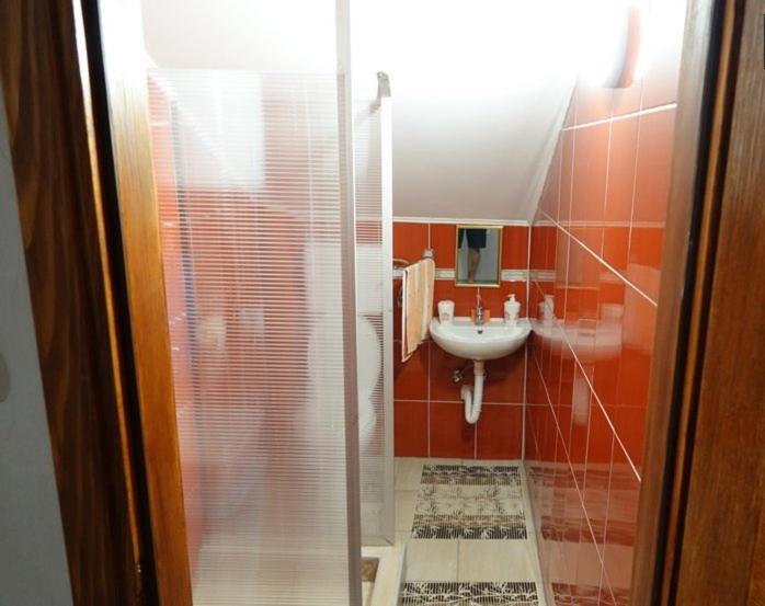 Pet Omorika - Apartman sa 1 Spavaćom Sobom - 12