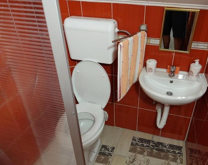 Pet Omorika - Apartman sa 1 Spavaćom Sobom - 13
