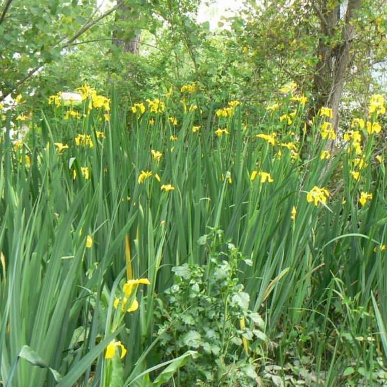 Posada Barlovento - Casa - 57