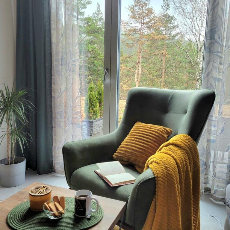 Divchy dream - Apartman - 38
