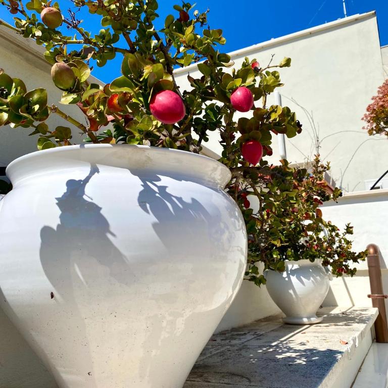 Dimore Le Murattiane - Puglia Mia Apartments - One-Bedroom Apartment - 19