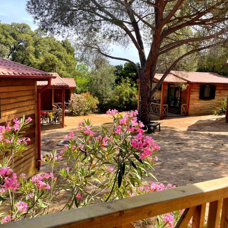Feriendorf La Mora - Chalet 2 Chambres - 5