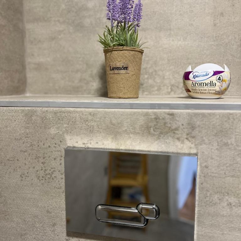 Sweet Dreams & Free parking - Apartman sa 1 Spavaćom Sobom - 27