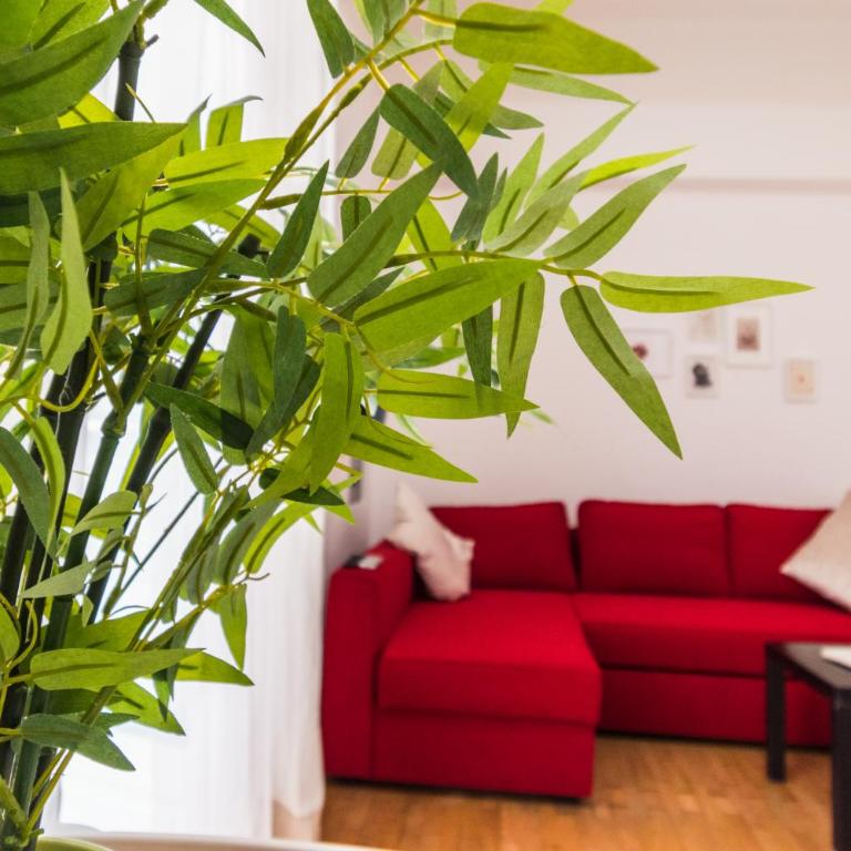 le camere del centro - Appartamento con Terrazza - 20