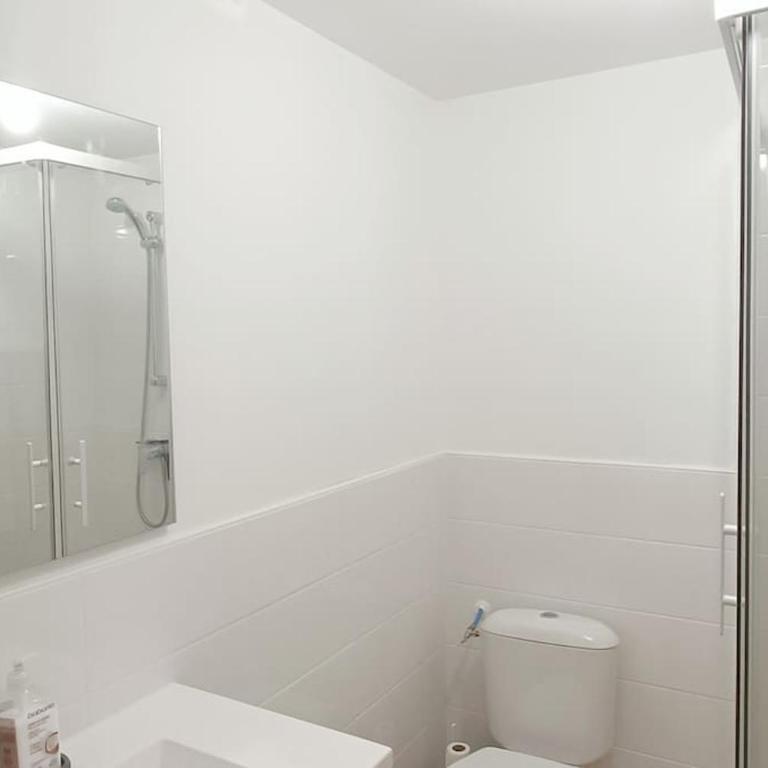 Loft en centre ville - Apartment mit 1 Schlafzimmer - 5