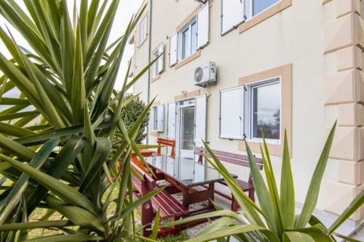 Apartments Savić - One-Bedroom Apartment with Patio - 24