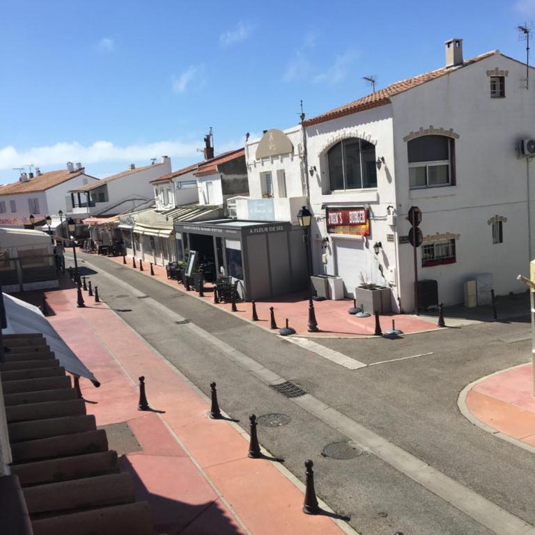 Appartement Le Méditerranéen à 300m de la plage, 3 animaux acceptés - Appartement - 40