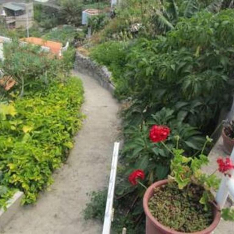 House Rural,Biosphere Reserve World.Taganana.Tfe. - Casa de 2 dormitorios - 45