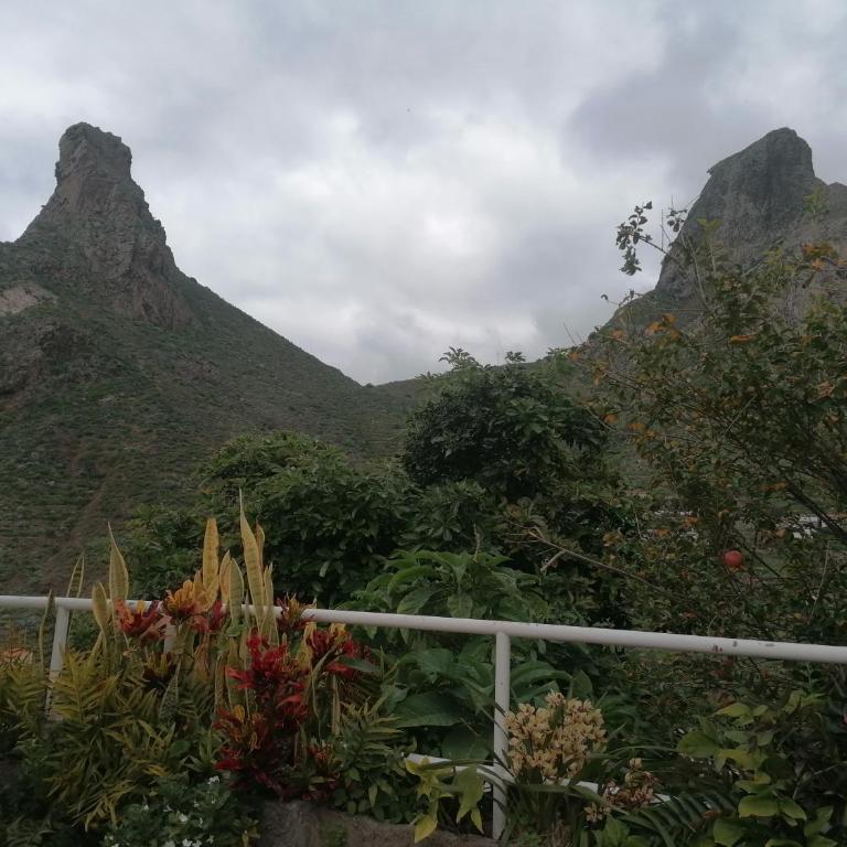 House Rural,Biosphere Reserve World.Taganana.Tfe. - Casa de 2 dormitorios - 47