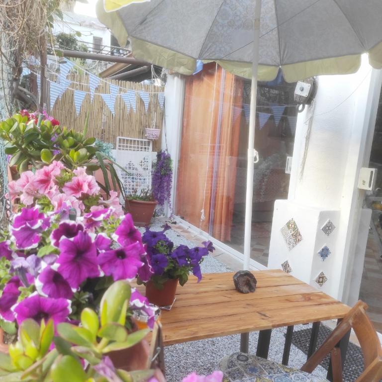 DA FEDERICA Casa Vacanze BAIA PORTO DELLE GENTI - Appartamento con 2 Camere da Letto - 37