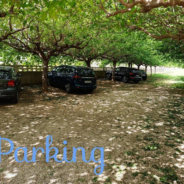 Apartamento Castillo de Peñíscola - Apartamento de 2 dormitorios - 23