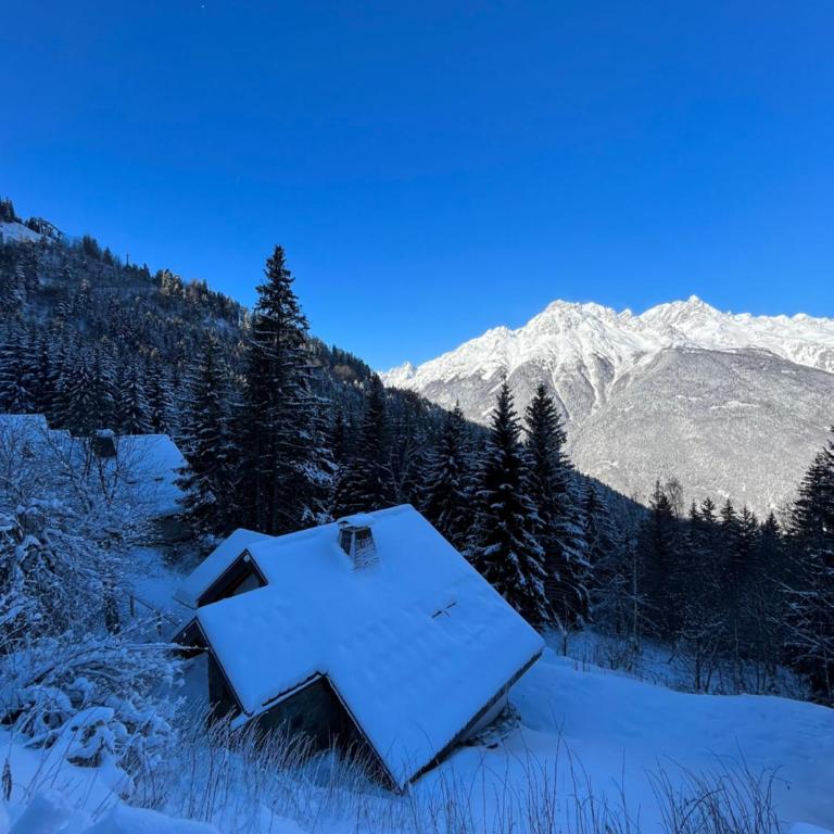 Chalet Oz en Oisans Station - Alpe d'Huez - Chalet - 23