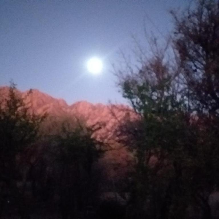 Cabaña Providencia - One-Bedroom Chalet - 7