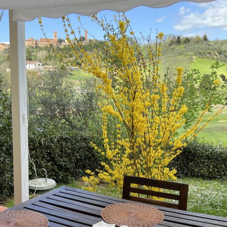 New apartment immersed in nature with pool - Appartamento Standard - 17