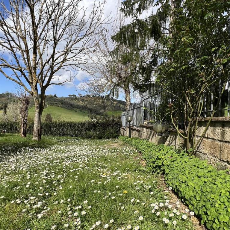 New apartment immersed in nature with pool - Appartamento Standard - 19