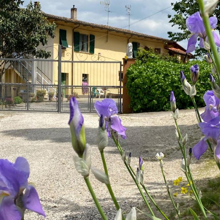 New apartment immersed in nature with pool - Appartamento Standard - 15