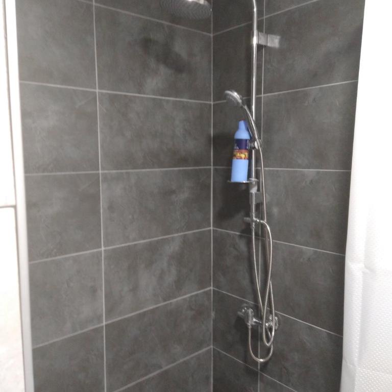 Apartman Ninic - Apartman sa 1 Spavaćom Sobom - 14