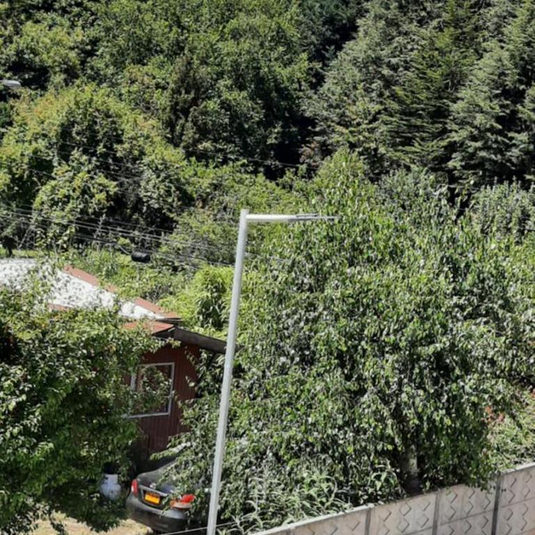 Pucón Soñado Te Espera - Apartamento con vistas al jardín - 36