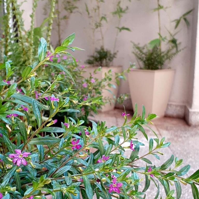 Oro Palermo - Apartamento de 1 dormitorio - 22