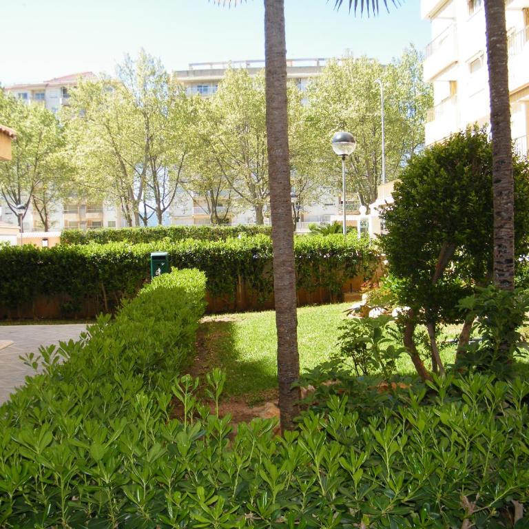 Jardín X Mnostrum Playa de Gandía - Apartamento de 2 dormitorios - 35