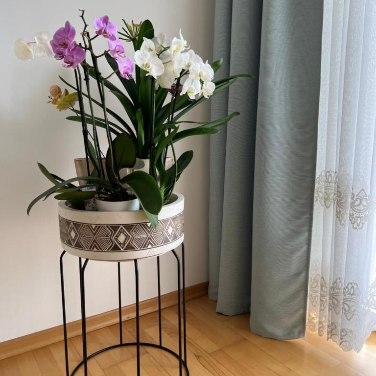 Apartament Acasa - Appartement 2 Chambres - 6