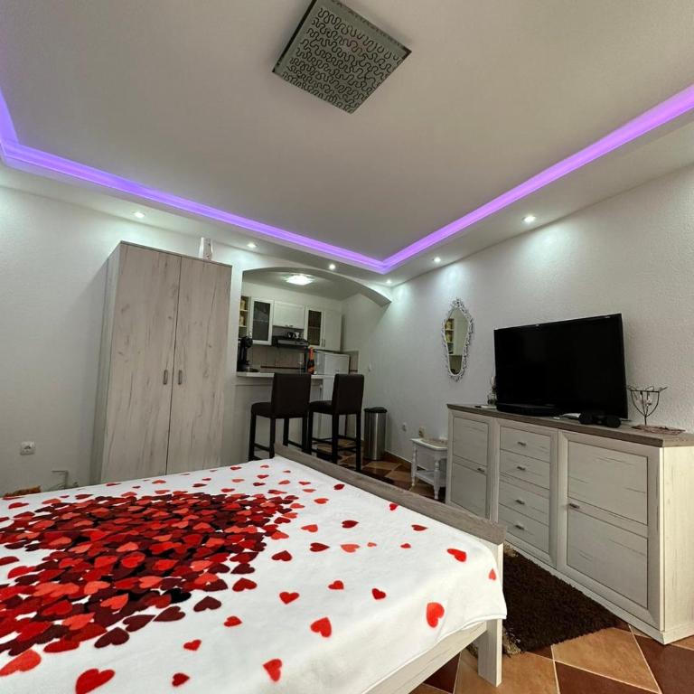 Sunshine Apartment with Private Pool and Parking - Superior Studio - 12
