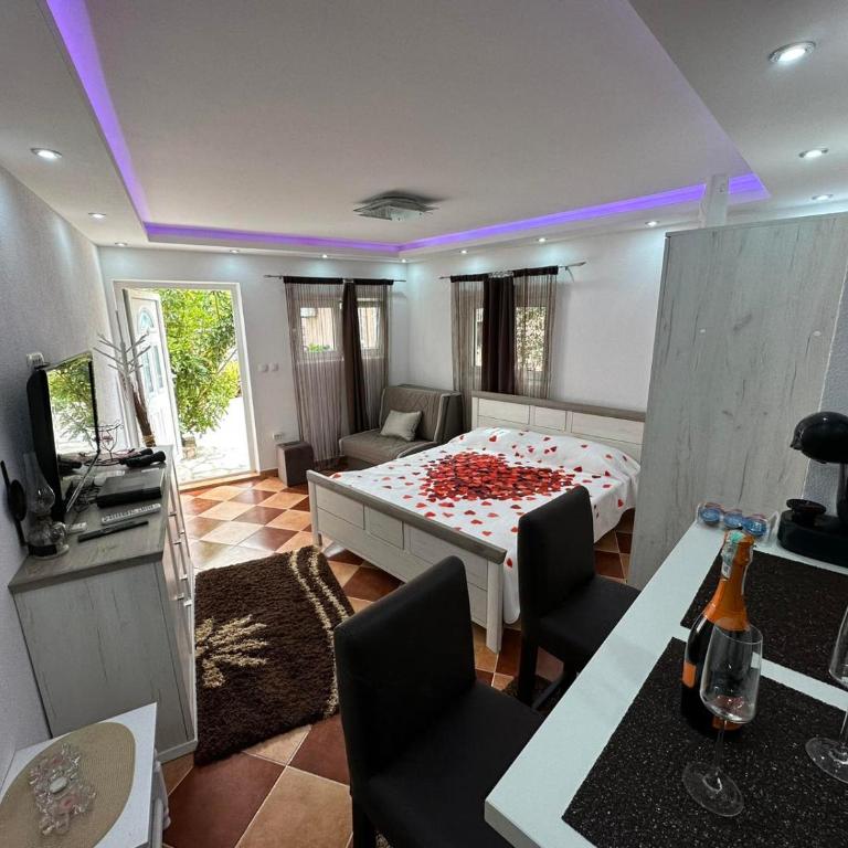 Sunshine Apartment with Private Pool and Parking - Superior Studio - 6