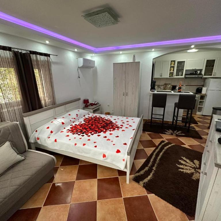 Sunshine Apartment with Private Pool and Parking - Superior Studio - 9