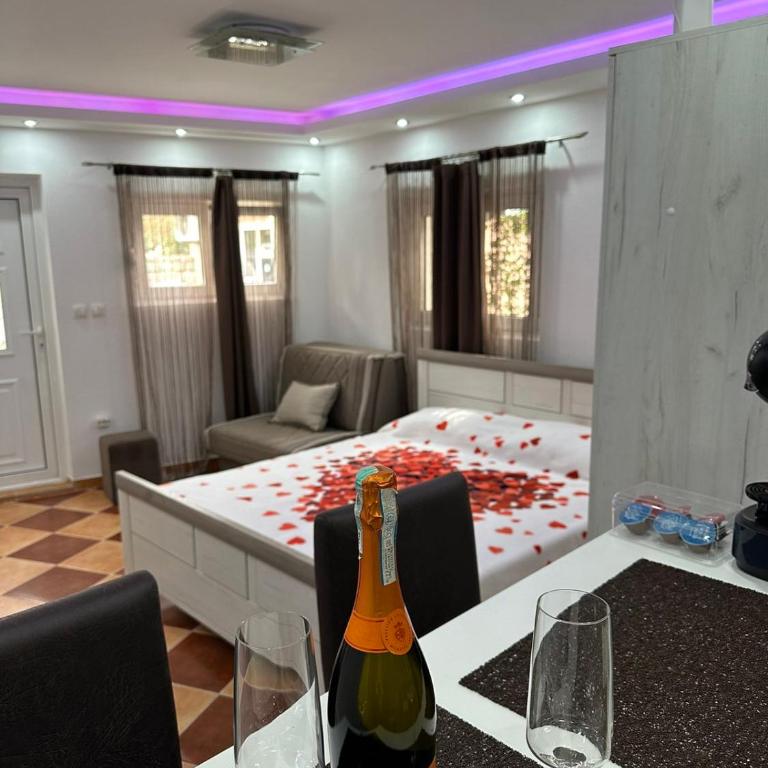 Sunshine Apartment with Private Pool and Parking - Superior Studio - 11