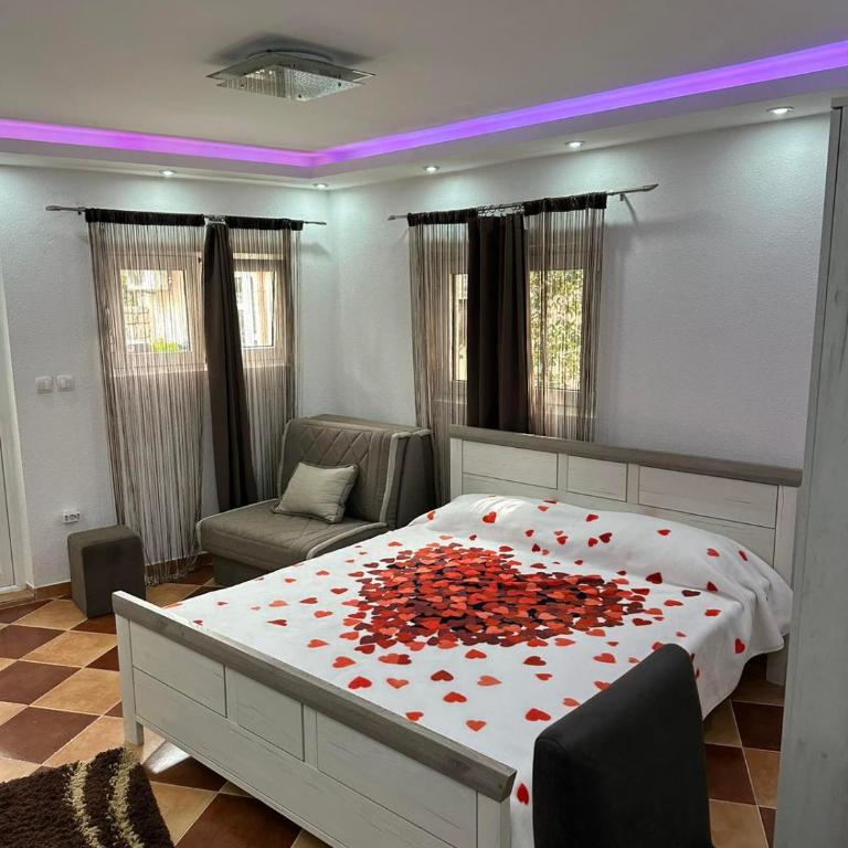 Sunshine Apartment with Private Pool and Parking - Superior Studio - 19