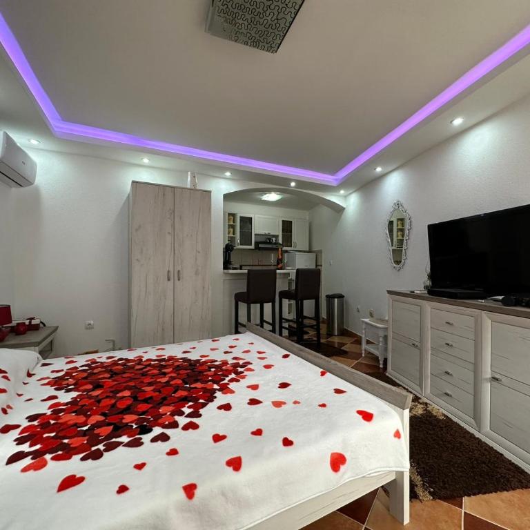 Sunshine Apartment with Private Pool and Parking - Superior Studio - 20