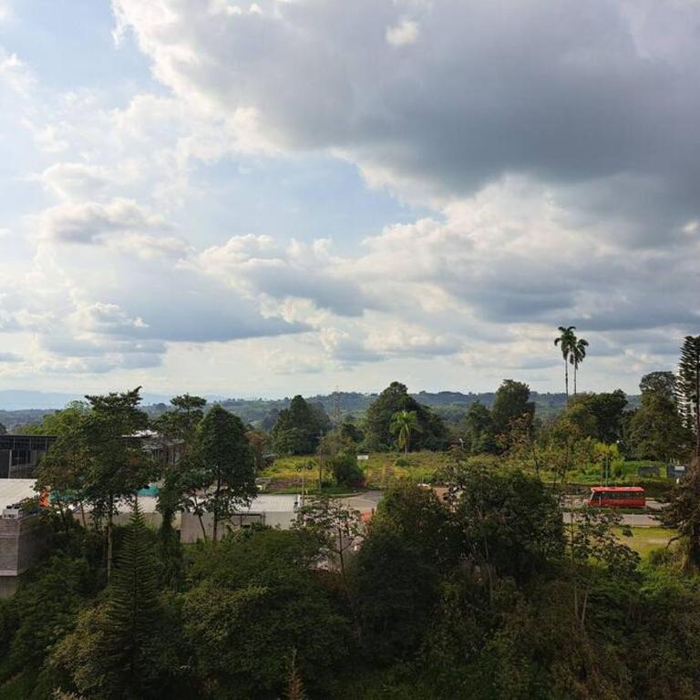 San Luis, norte de Armenia - Apartamento de 3 dormitorios - 12