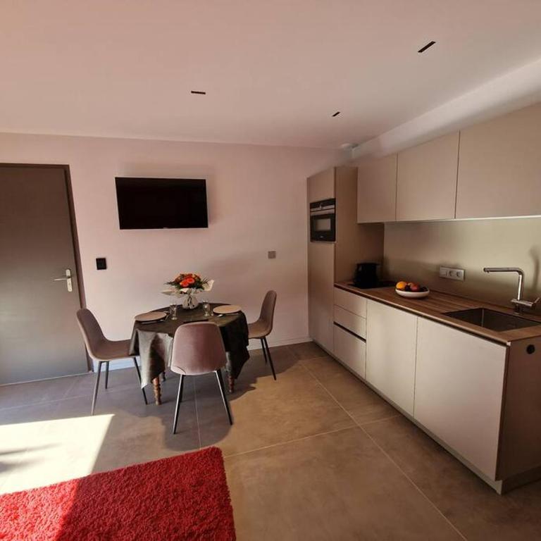 Magnifique studio au bord du lac du Bourget à proximité d'Aix-les-Bains - Appartement 1 Chambre - 36